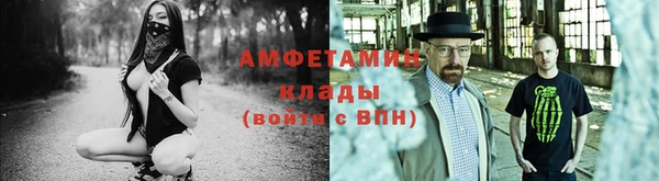 прущие грибы Покровск