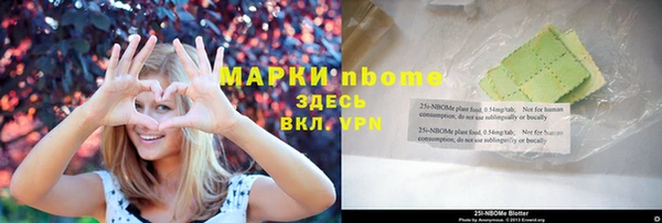 прущие грибы Покровск