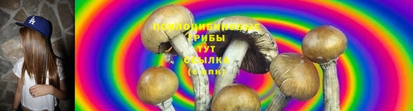 дмт Богородицк
