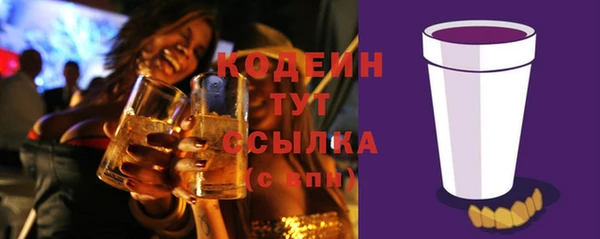 дмт Богородицк