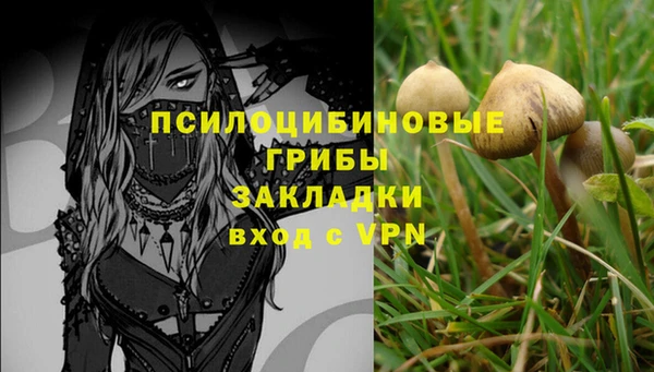 прущие грибы Покровск