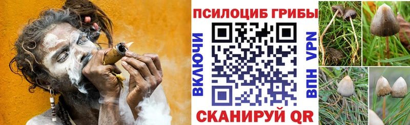 Псилоцибиновые грибы ЛСД  даркнет сайт  Тулун 